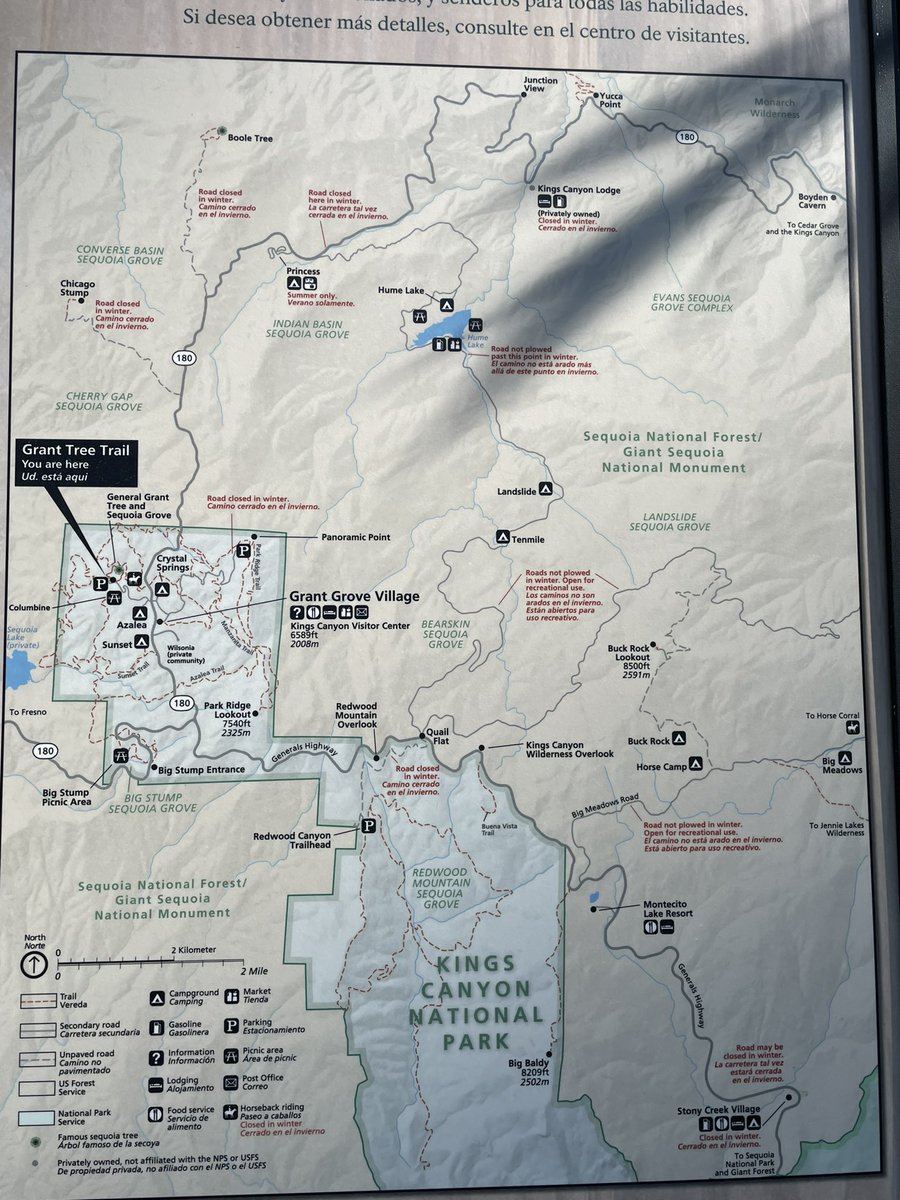 ruutuikkuna's tweet photo. Turha edes yrittää kuvailla mitään näiden puiden kokoa! #azaleapark #kingscanyon #nationalpark 🇺🇸 https://t.co/McCEfgHXSf