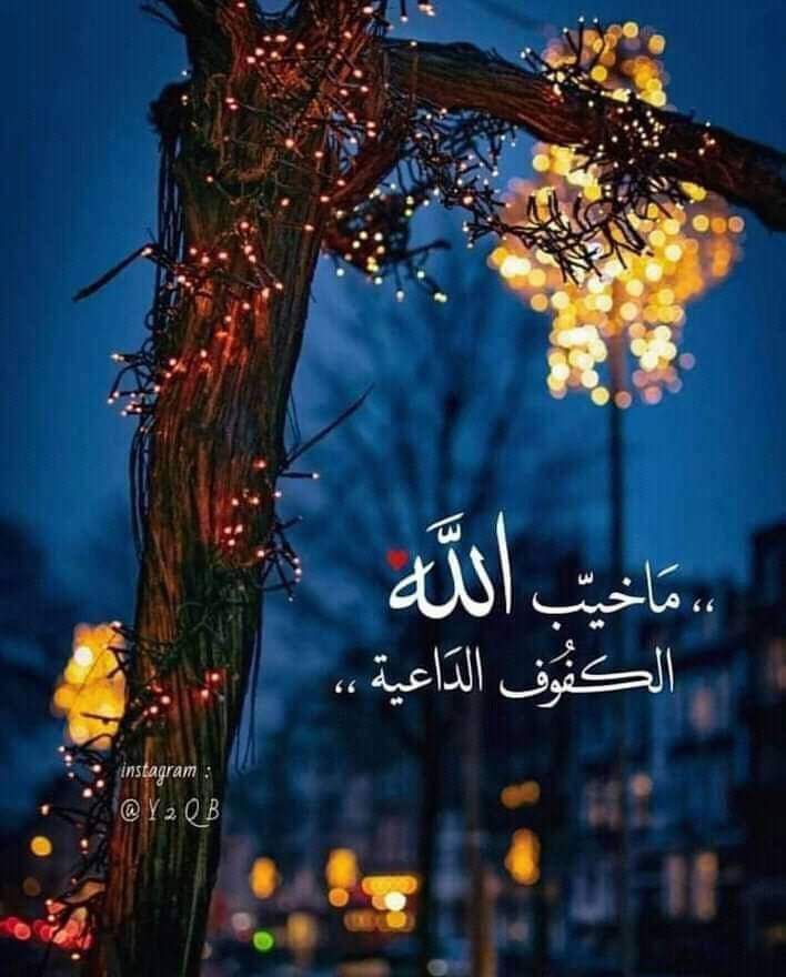 Mo_Anoudi's tweet photo. مدرسة عظيمة هذه الحياه ، كل خطأ فيه درس  وكُل درس فيه عَبرة ، وكُل عبرة فيها إرادة 
وكُل أرادة فيها نجاح .
الحياة كلها لحظة
حزن .. ألم .. سعادة .. أمل .. فرح .. نجاح .فشل  
نلهث وراء لحظة .. 
نحزن على لحظة ..
ونتقاتل من أجل لحظة .
#ممكلة_عيون_الكون 
#نبض_الوناسه_للدعم https://t.co/ssrX5HExNn