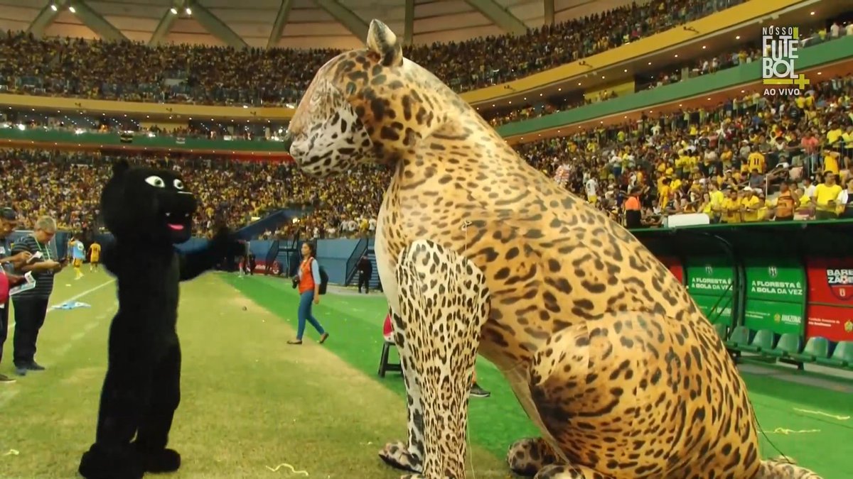 UllinTipster's tweet photo. A Onça de olho no jogo e no acesso para a Série B... 👀😁🐅
#SerieC #Amazonas #ArenaDaAmazonia https://t.co/dJkfFOadie