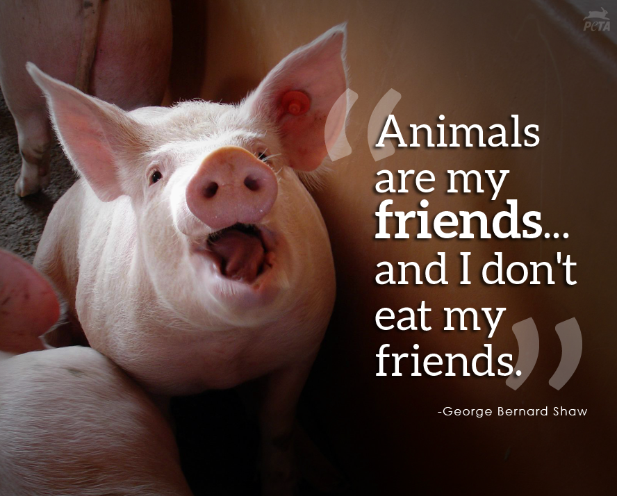 #FriendsNotFood 🐷

#NationalPorkMonth #SausageMonth
#PorkMonth #NationalSausageMonth