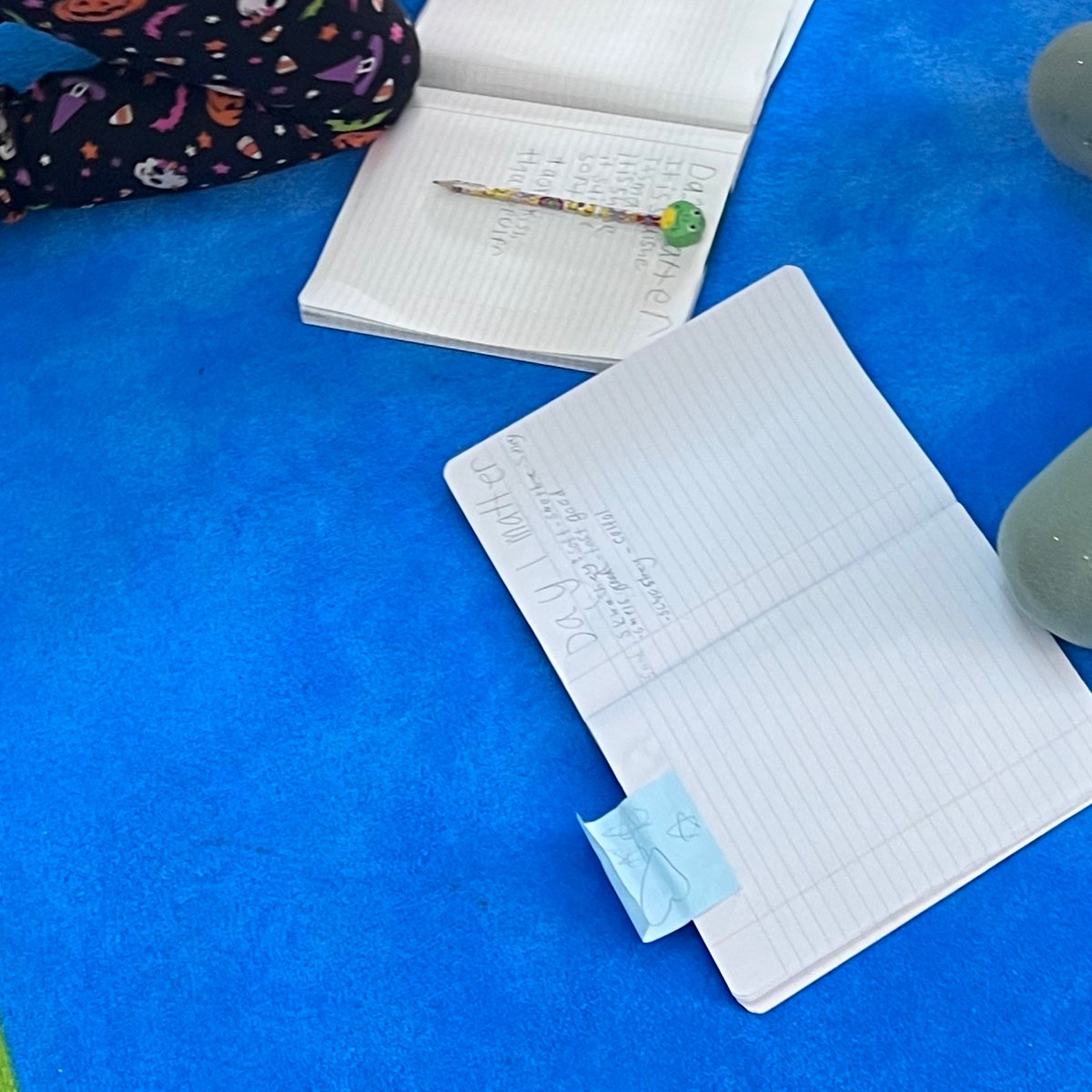MsBazar5th's tweet photo. Great things already happening! Took me 6 weeks to share, but I promise to be more active! Check out our new class pet, science in action and more! #3rdgraderockstars #bungyfam #ramon #weareconfident https://t.co/7V568V6HLv