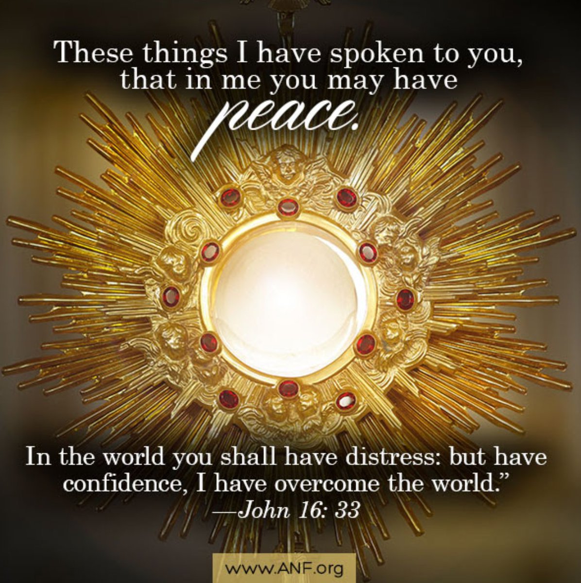 mavrick803's tweet photo. @therealroseanne That terrorists state that was born out of WAR is not true ISRAEL. THE CATHOLIC CHURCH IS. you need to pray for your fellow Jews to sincerely convert to the one true faith deposited to us by the Lord Almighty himself. or else his blood will continue to be on your hands as u wish https://t.co/JzABE70p9U