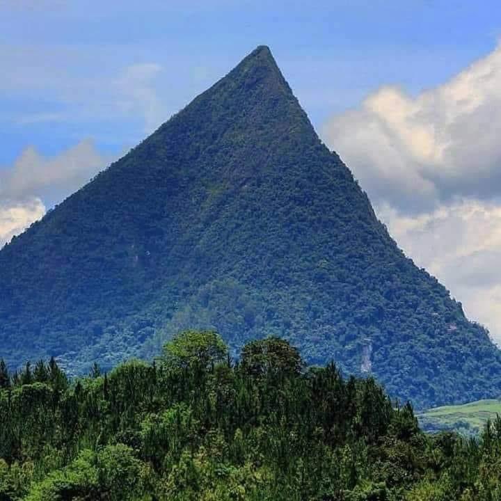 Informa Cosmos tweet media