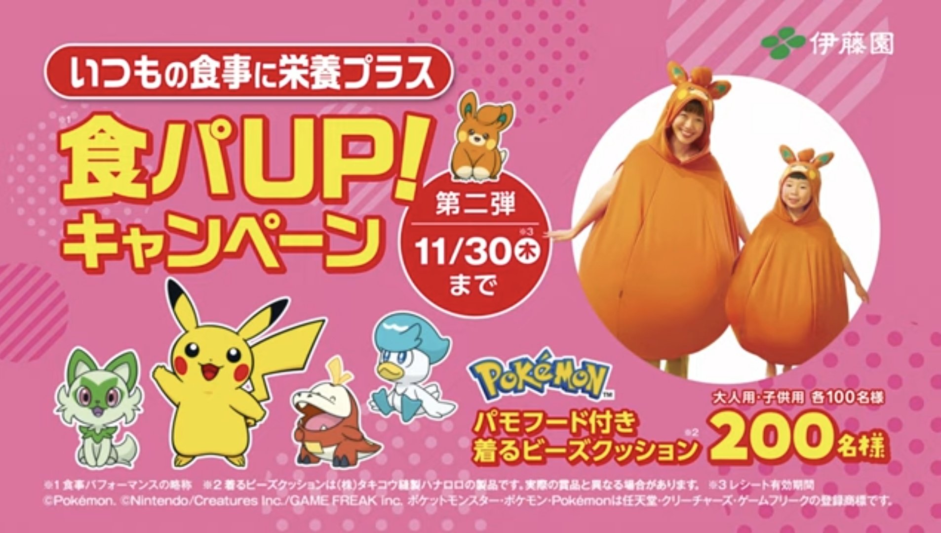 限定100個！パモ　着るビーズクッション　ポケモン　ハナロロ