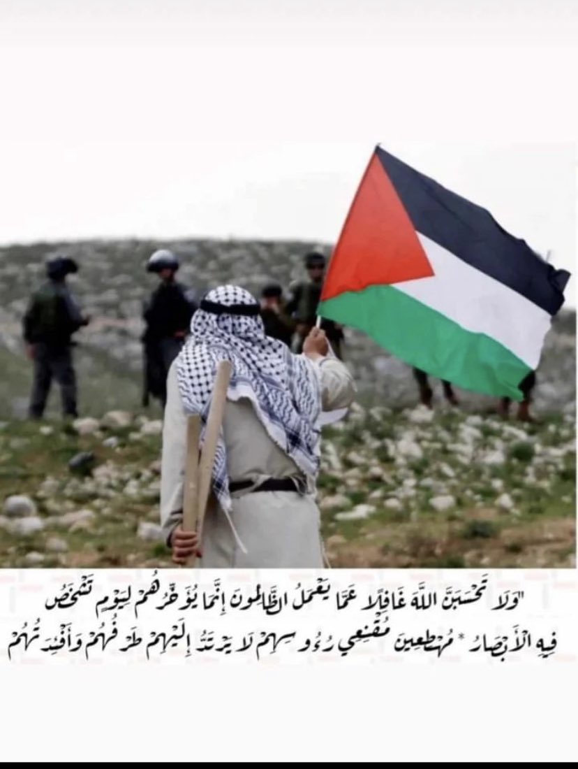 عبيد tweet media