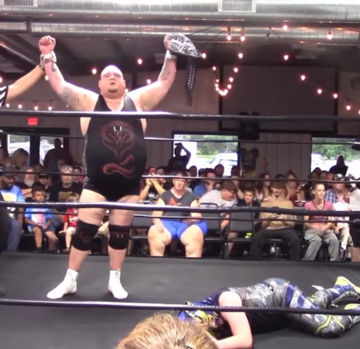 A preview what’s to come later: 

<a href="/brandonaarons/">Brandon With The Good Hair</a> 
<a href="/PWEpic/">Pro Wrestling Epic</a>