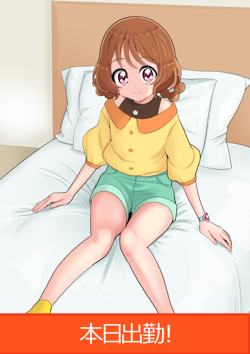 設定資料集、予約できました 