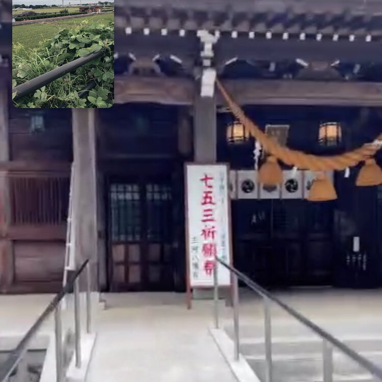 YsCOOKIES_8's tweet photo. 今日の日の出は5:52
リモートウォーク2回目終了。
歩く先に広がるのは、普段見えれない静かな景色😊

お互いの歩く風景を映し出しながら歩くのは、不思議な感覚ですね♫

来週もご参加お待ちしてまーす！

#ていねいな暮らし　#sdgs  #美味しいごはん　#七五三  #ウォーキング  #お茶の花  #秋の味覚 https://t.co/zQeIpl9neG