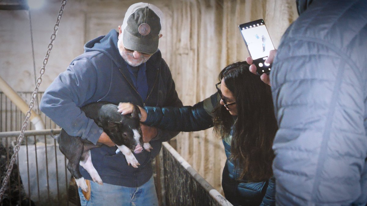 fine_focus's tweet photo. Another amazing day working with awesome people. The Hilleman family is one of the original partners to raise Berkshire pigs for @BerkwoodFarms. The Hilleman brothers got to meet one of the main buyers of their products, a dumpling restaurant based in Tawain with locations in CA. https://t.co/I6OeztJ4cL