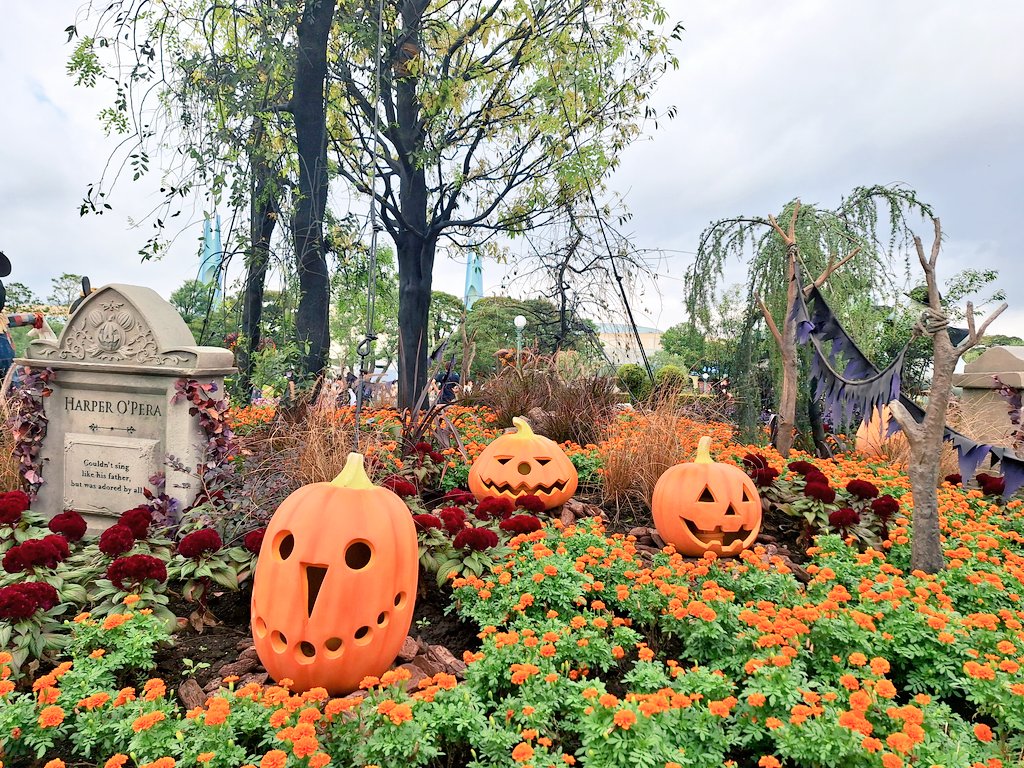 ayre2013's tweet photo. 先週念願のハロウィン🎃
混んでたけど楽しかった♡
#ディズニーランド 
#ディズニーハロウィーン 
#ハロウィン https://t.co/q7h3Tm6pm4