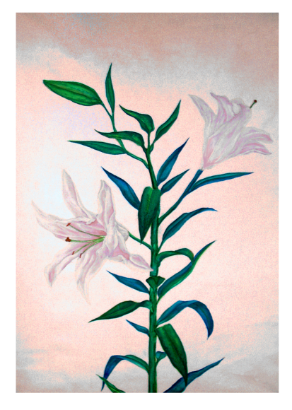 学生時代の課題。
①水彩
②パステル
③アクリル絵の具
④鉛筆
結構アナログ使ってたなあ。 