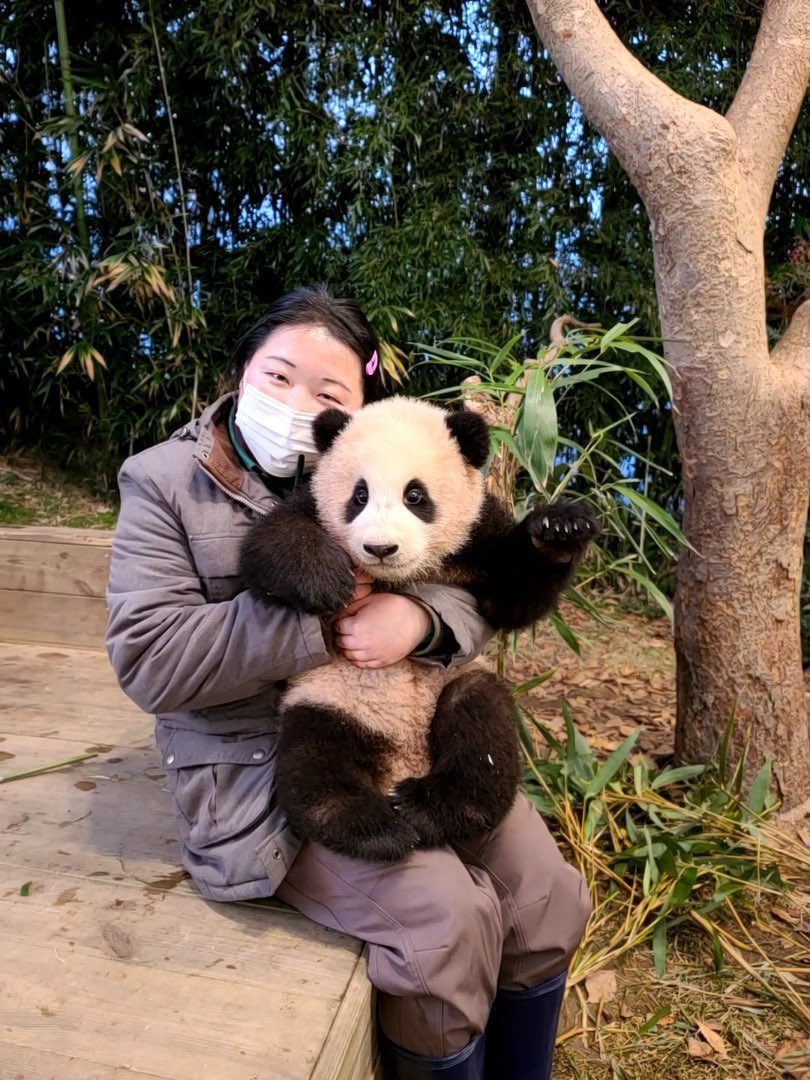 동그란 눈에 까만 작은 코
얼룩 털옷을 입은 예쁜 아기곰 
언제나 너를 바라보면서 작은 소망 얘기하지 
너의 곁에 있으면 나는 행복해
어떤 비밀이라도 말할 수 있어 
까만 작은 코에 입을 맞추면
수줍어 얼굴을 붉히는 예쁜 아기 곰