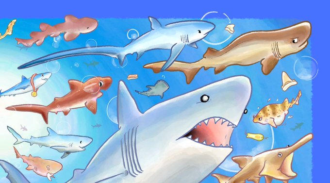 「bubble shark」 illustration images(Latest)
