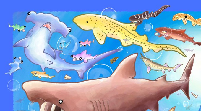 「bubble shark」 illustration images(Latest)