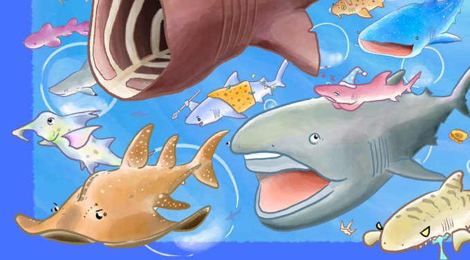 「shark swimming」 illustration images(Latest)