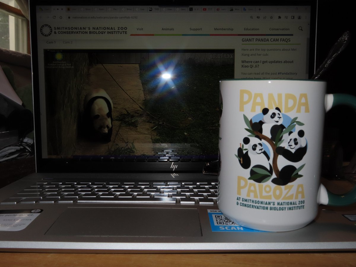 PookieDigi4Ever's tweet image. I finally braved using my #PandaPalooza mug for my morning coffee while watching the #PandaCam on Saturday.