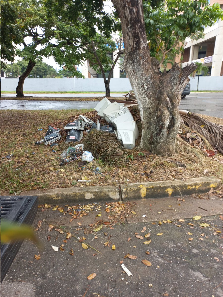 <a href="/gonzalez10ana_/">Ana Virginia González</a>  <a href="/quintas_norte/">Vecinos Quintas Del Norte</a> <a href="/rafaellacava10/">Rafael Lacava</a> <a href="/ServPublicosVe/">Servicios Públicos Vzla</a> <a href="/webnotitarde/">Notitarde</a>  personal contratado por la alcaldía para recortar áreas verdes  dejan los desechos amontonados por siempre  hagan el trabajo bien