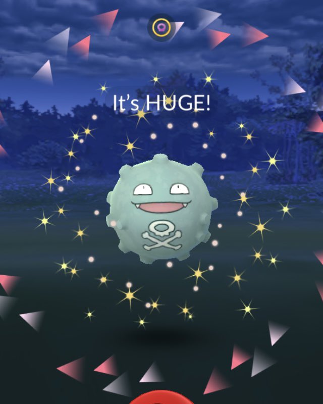 tommiplaysgames's tweet image. Big shiny! ✨☠️
#PokemonGO #ShinyPokemon #Koffing