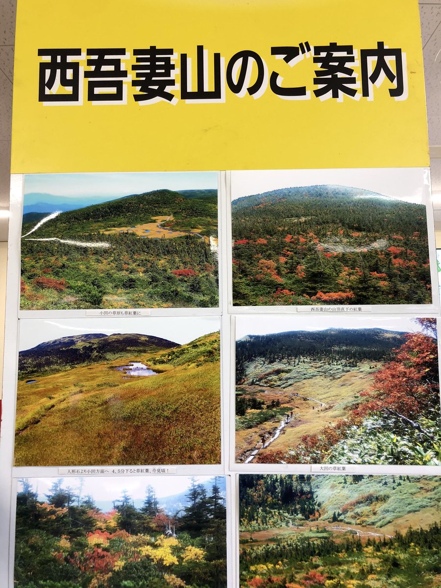 eeeeebo's tweet photo. 一年振りの登山
西吾妻山　登山口
天元台高原ロープウェイ　湯本駅🚡
まだ搾乳中なので、搾乳器をザックに入れて出発🤱

パパは駐車場で子供ら３人と待機してくれてる😊ありがとう✨ https://t.co/YtfEbUCway