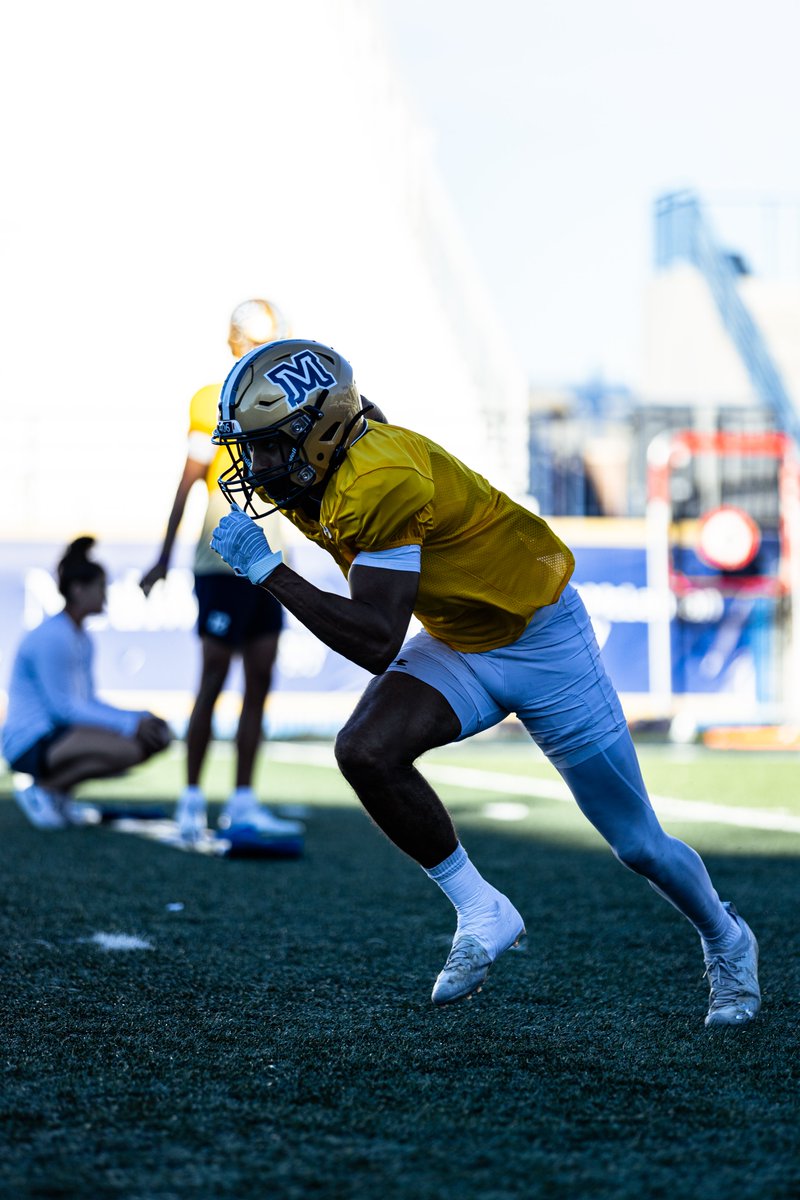 Montana State Football tweet media