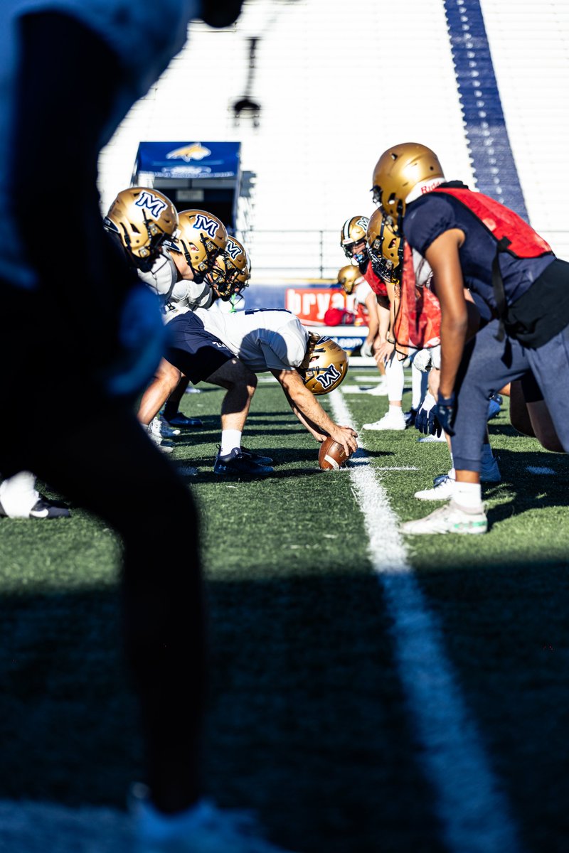 Montana State Football tweet media