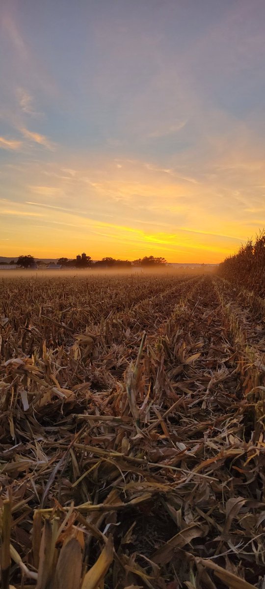 ElliottCwach12's tweet photo. #SDCorn https://t.co/ijvfcwZY6N