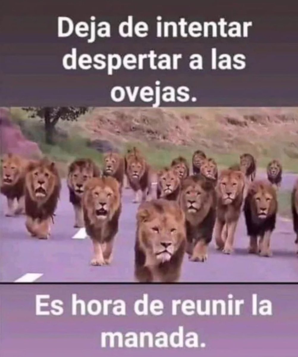 D'Anconia 🍓🍓🍓⚡FDC⚡️ᵖᵃʳᵒᵈʸ tweet media