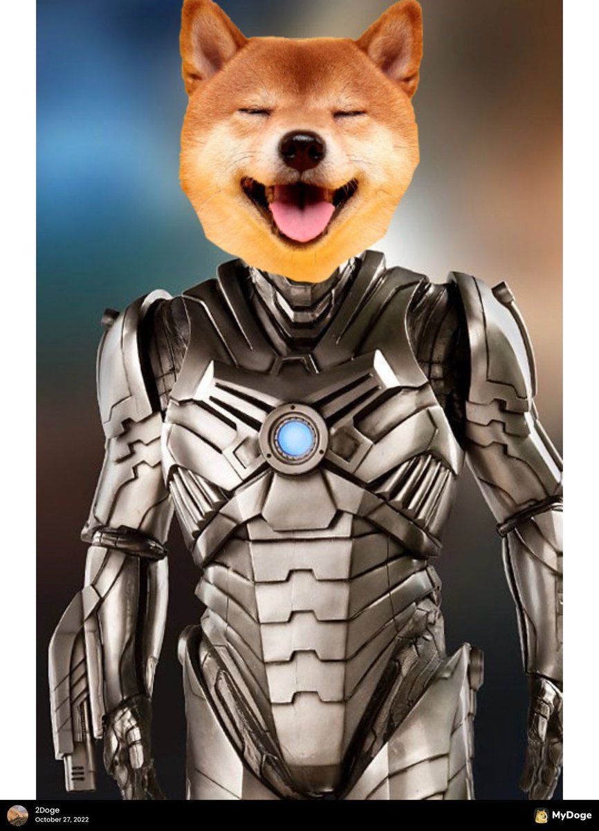 OMG I found a backup of my iPad yoooo! I got access to all my old books and my 2Doge Mydoge account!! Let’s celebrate!!

WHO WANTS A TIP FROM 2DOGE?!?!?!

#CyberDoge #Doge #Dogecoin $Doge

Ps. For maximum tip Comment, Repost, and Like it my Dawgs