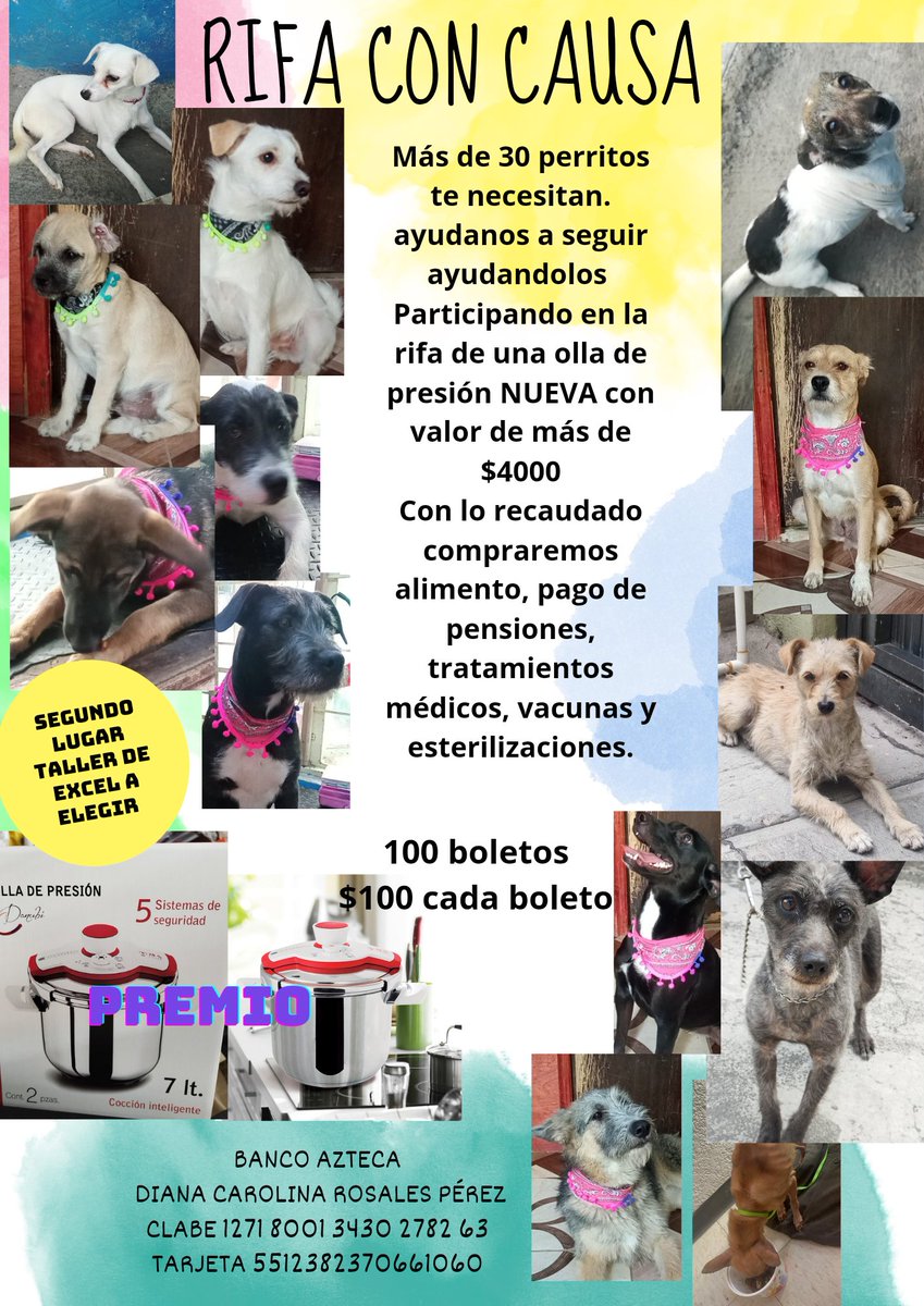 VIBRAmascotas's tweet photo. Ya no hemos vendido boletos :( https://t.co/DLIXQbrxnk