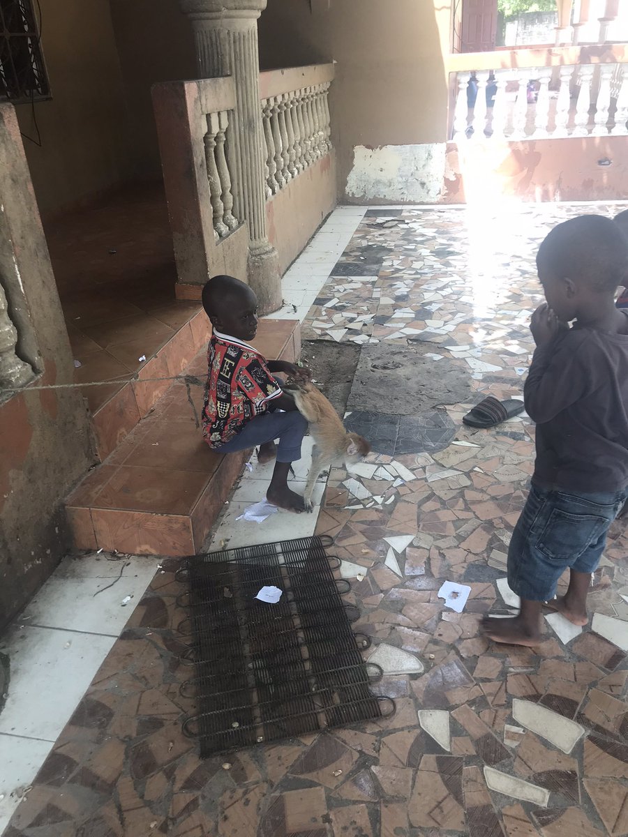 Abdoulie (@abdouli70207352) on Twitter photo 