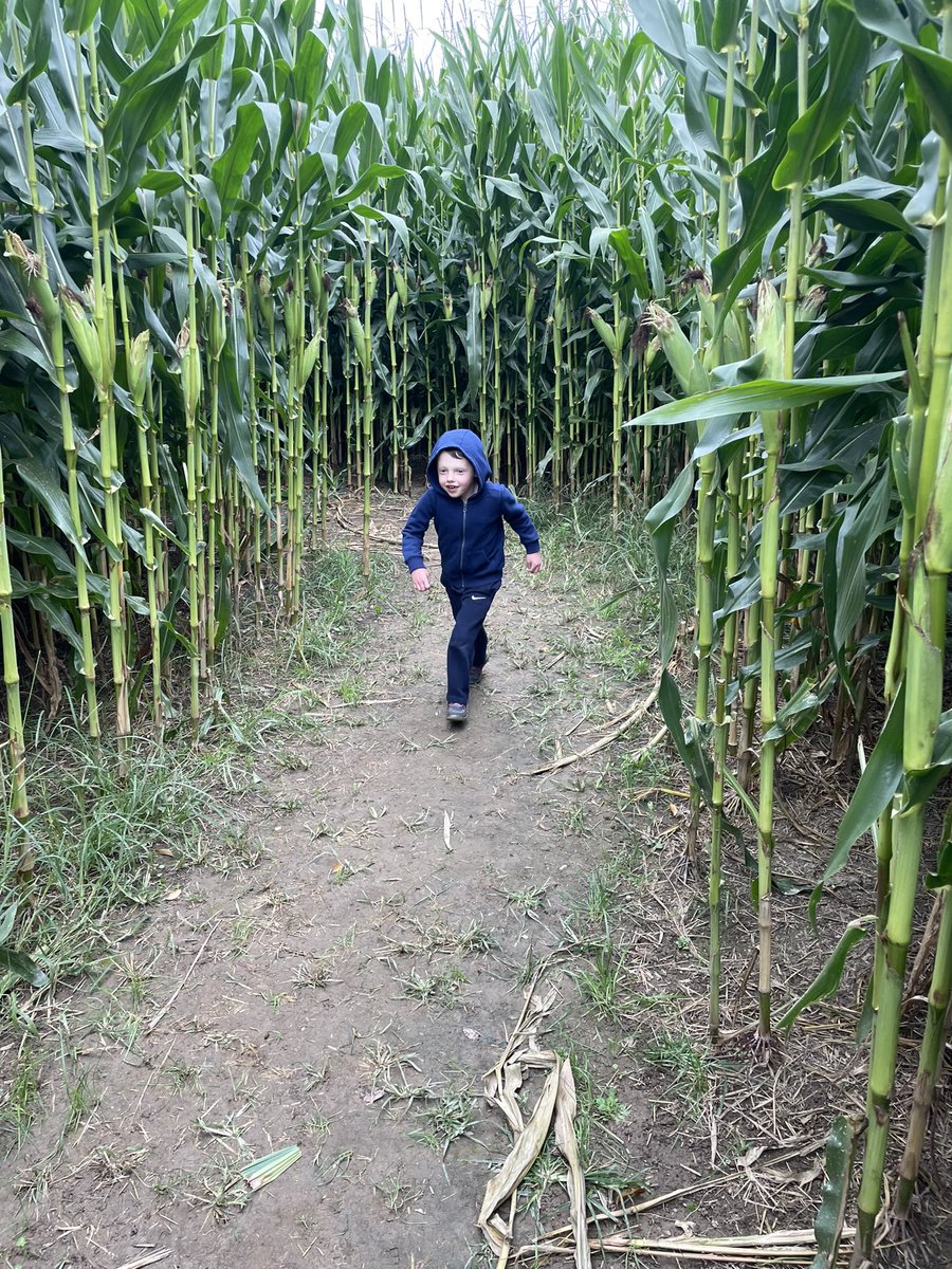 TheArtieMoore's tweet photo. Today was pumpkin patch / corn field maze day for me and DG. Our tradition continues. The maze was more challenging this year, but after 37 minutes of twists and turns, the little guy navigated us from beginning to end. #ItsAHelluvaLife https://t.co/EJwyZm2CDZ