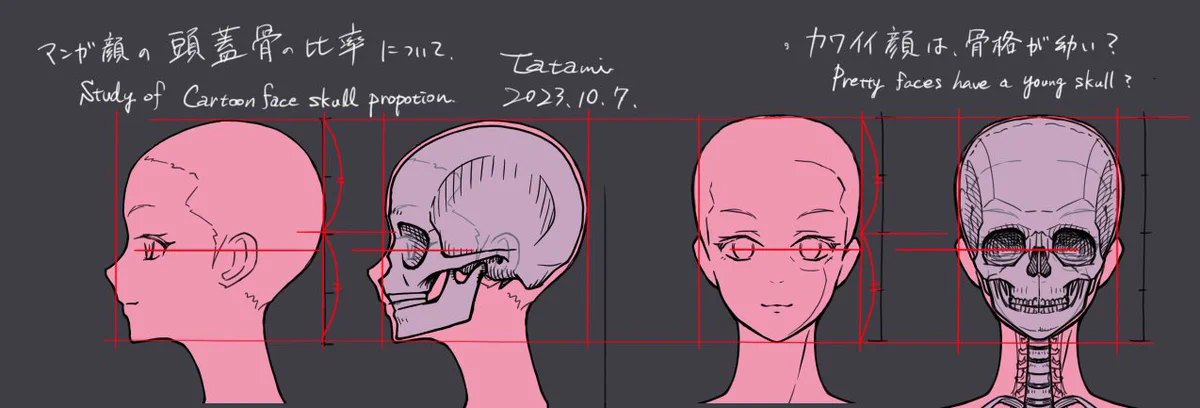頭蓋と顔面頭蓋のマニュピレーションテクニック図説 F74LZzAbgAAS-wT?format=webp&