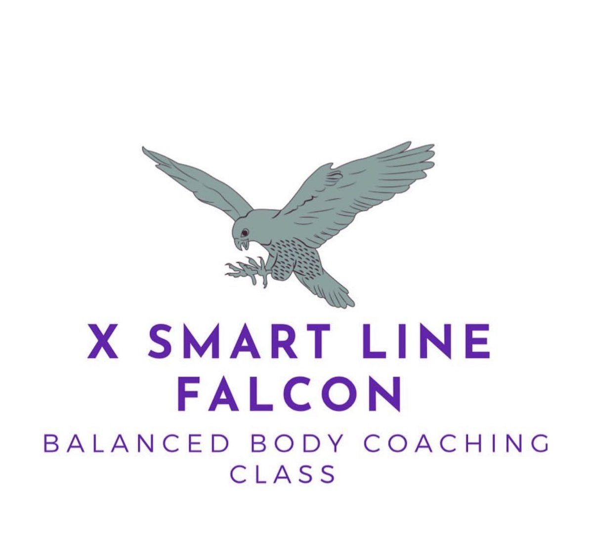 1Princess_HJO's tweet photo. Class is back in Session and will be Supervised and #Certified, you also will have a #NDA and #LiabilityWaiver form and #Test so be prepared! Available Now BrandNew FALCON BALANCED BODY COACHING CLASS for all ..... START #TEACHING OUR #CHILDREN NOW ABOUT DISEASES . Let them #join https://t.co/oxHf6w2EgA