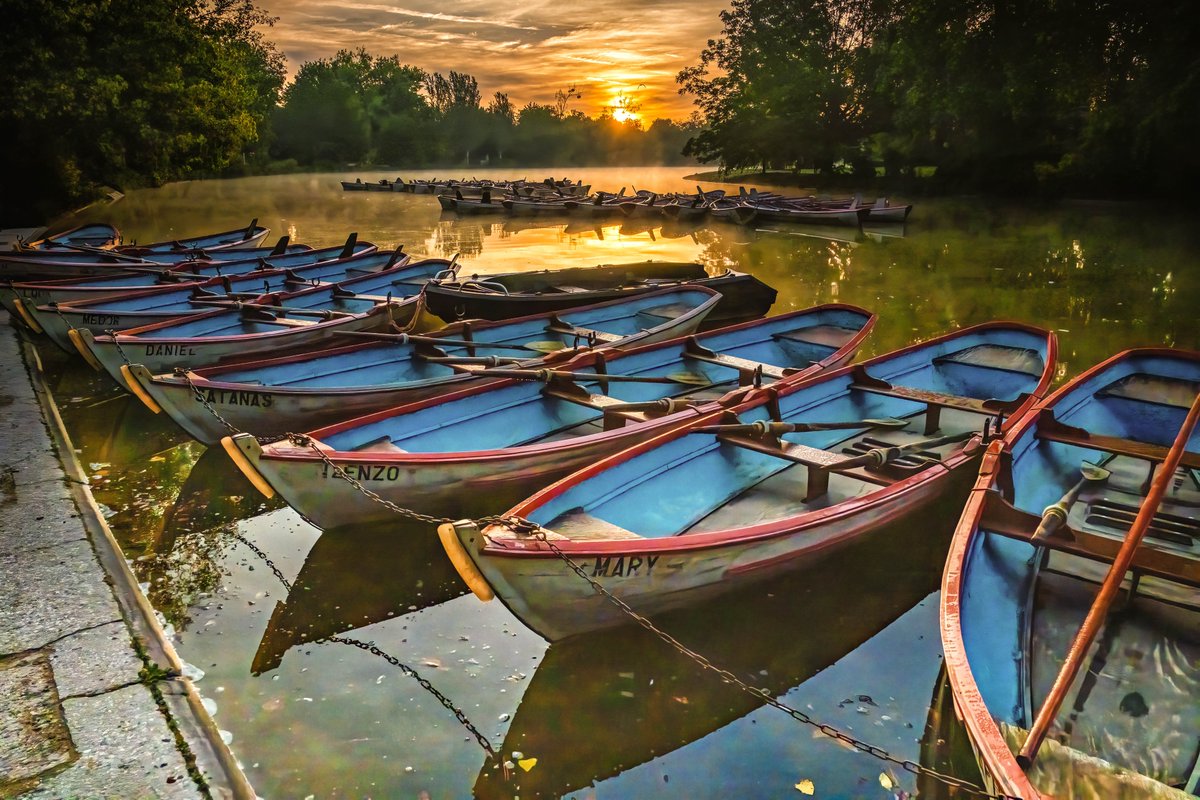 MrHenri2's tweet photo. Lac de Dausmenil. Bois de Vincennes. Lever de soleil. https://t.co/FfI1FfgLr8