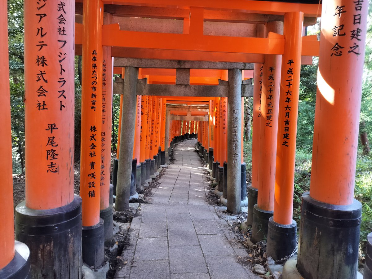 Blaster391's tweet photo. 1 Race, 3 Concerts, 100 Snow Monkeys,  10,000 Torii Gates. Japan has been real cool

(oh god, oh fuck i have work tomorrow) https://t.co/woek56QGmw