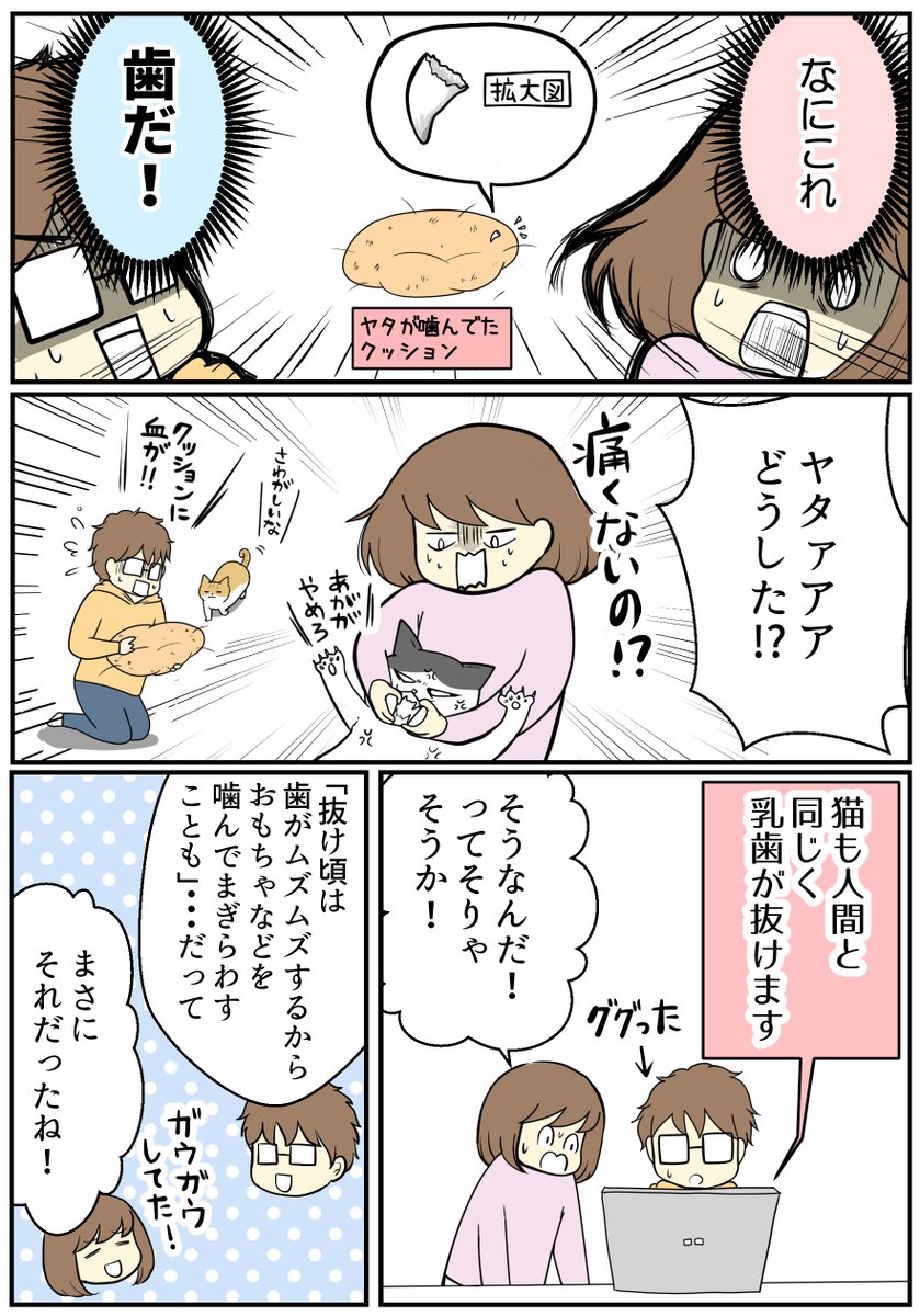 (2/3)
