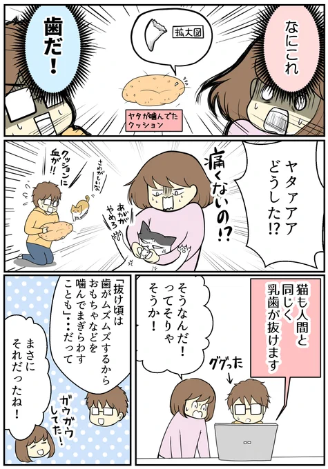 (2/3)