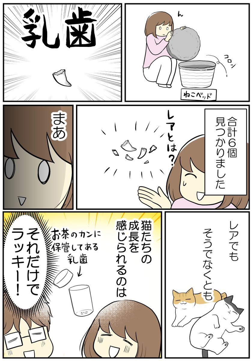 (2/3)