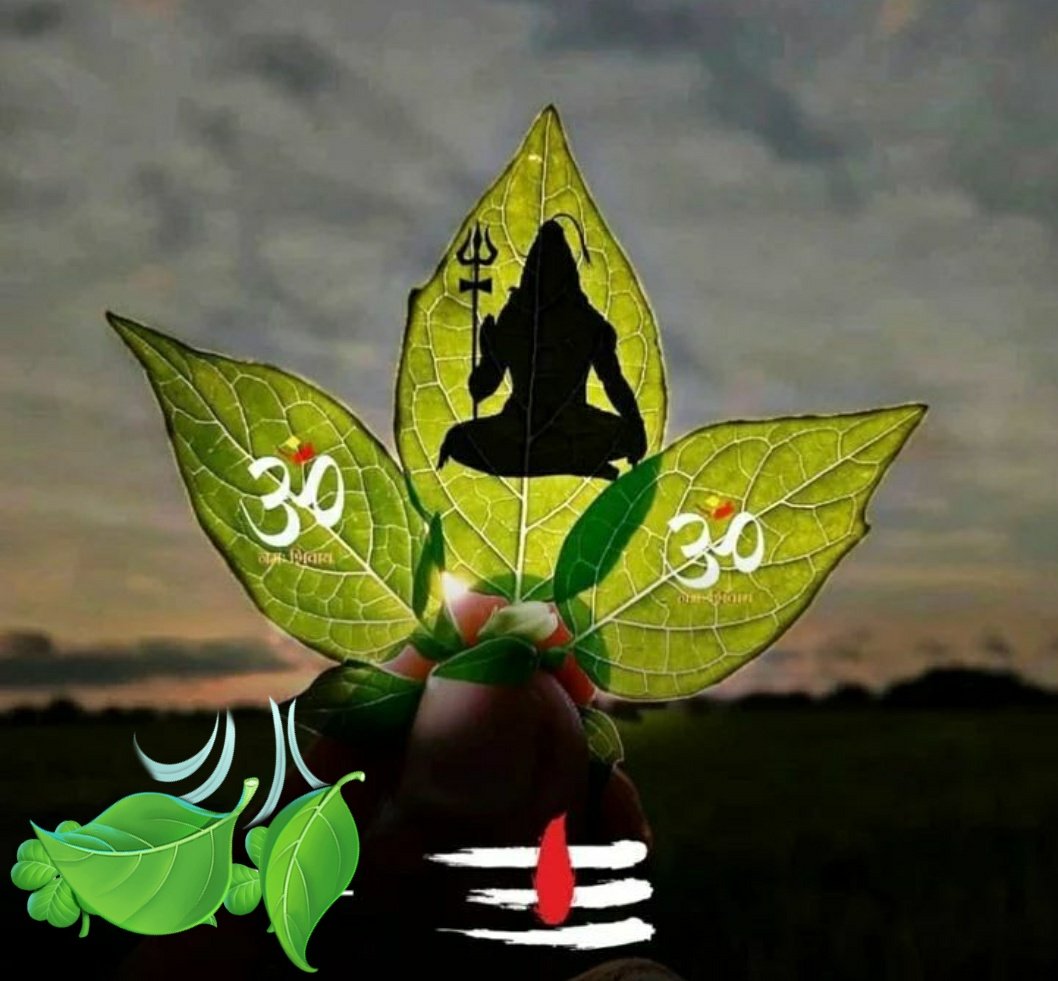 सत्य ही शिव है, और शिव ही सुंदर। 

हर हर महादेव 🌿
ॐ नम: शिवाय📿

ॐ श्री शिवाय नमस्तुभ्यम् ! 🙏