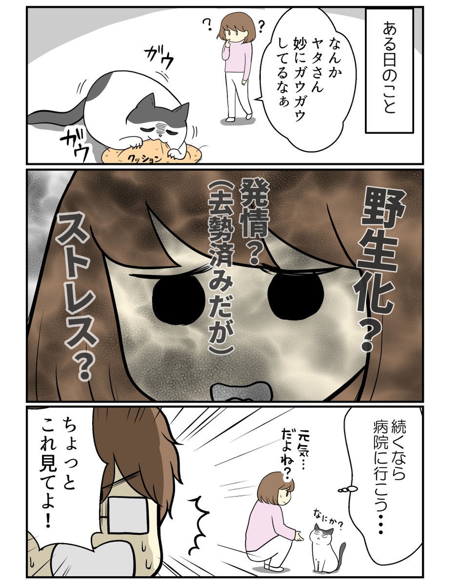猫の乳歯をみつけたら(1/3)  #漫画が読めるハッシュタグ