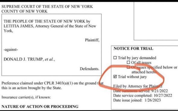 the_resistor's tweet image. Dear Donald, 

Dude, Your Attorney checked the box.  

STOP 🛑 Lying. 🔥🔥🔥