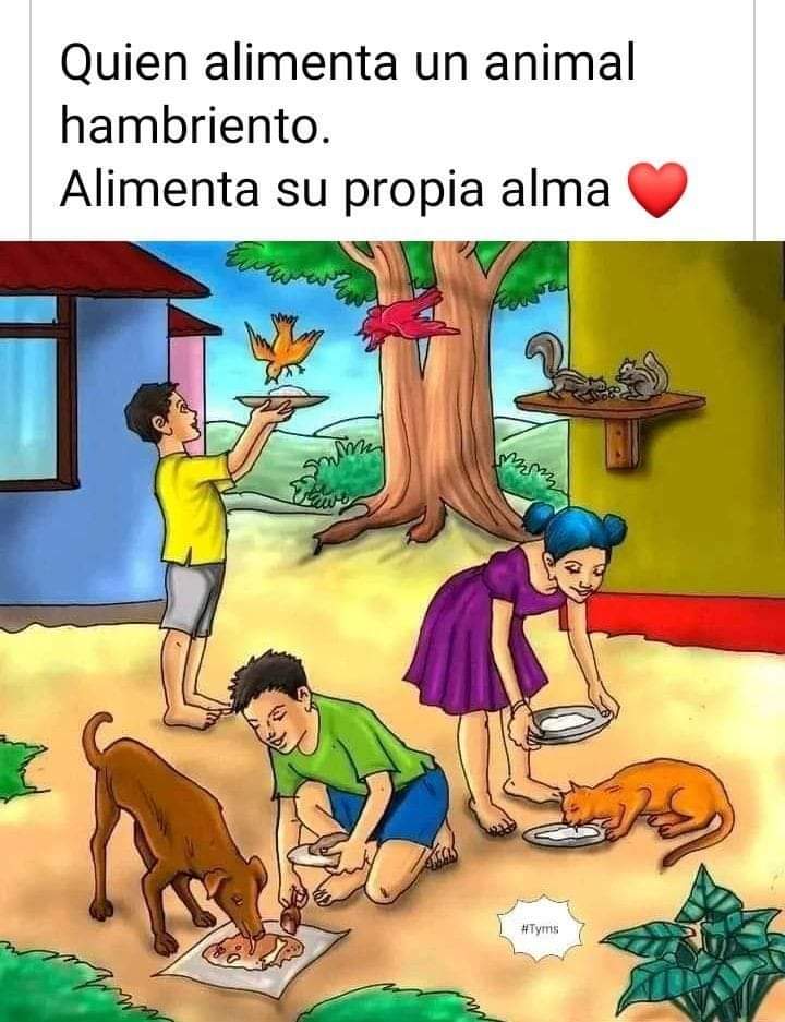 Buenas noches ✨💖