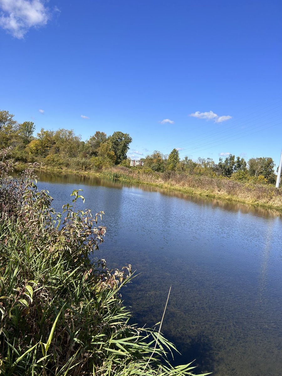 MusselLab_DW's tweet photo. @MusselLab_DW research team visited #saline research hatchery Friday. #beautiful day to check on adult #mussels in raceways and brainstorm #unionid propagation with our #team and MDNR. #conservation #cmichbio @Cmich_Biology @cmichSE https://t.co/FjPwUORG09