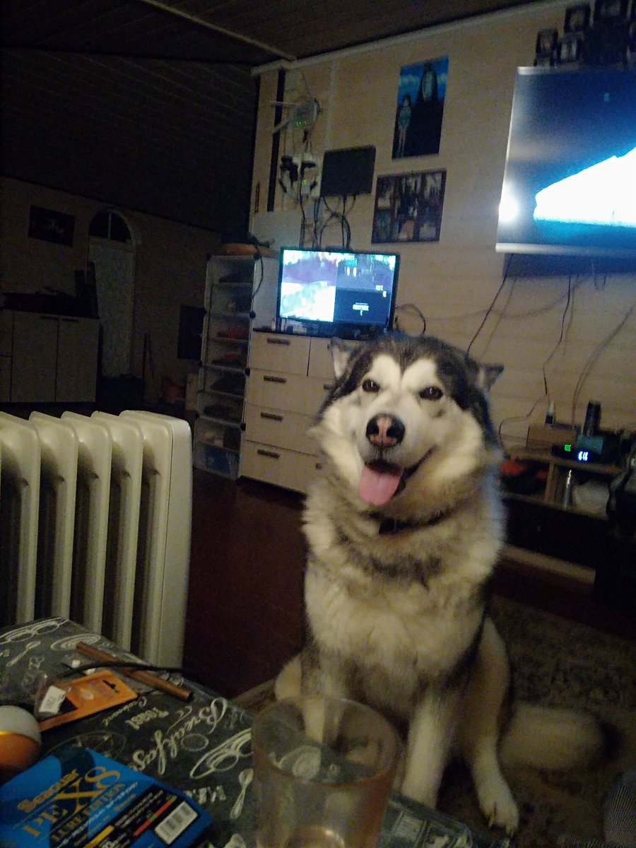 Доброго утра,,, сумасшедший запах осенних листьев,,,за бортом пиздец дич,ветер гуляет 3йдень