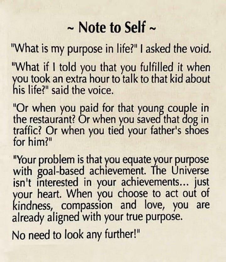 🍀Holly🍀 🕊️☮️🌍 tweet media