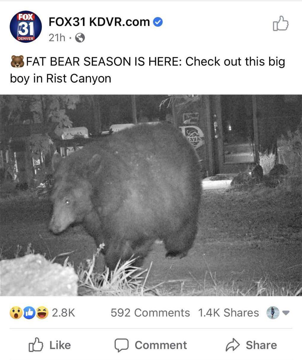 BearPosting's tweet photo. https://t.co/uG4XcvzohR
