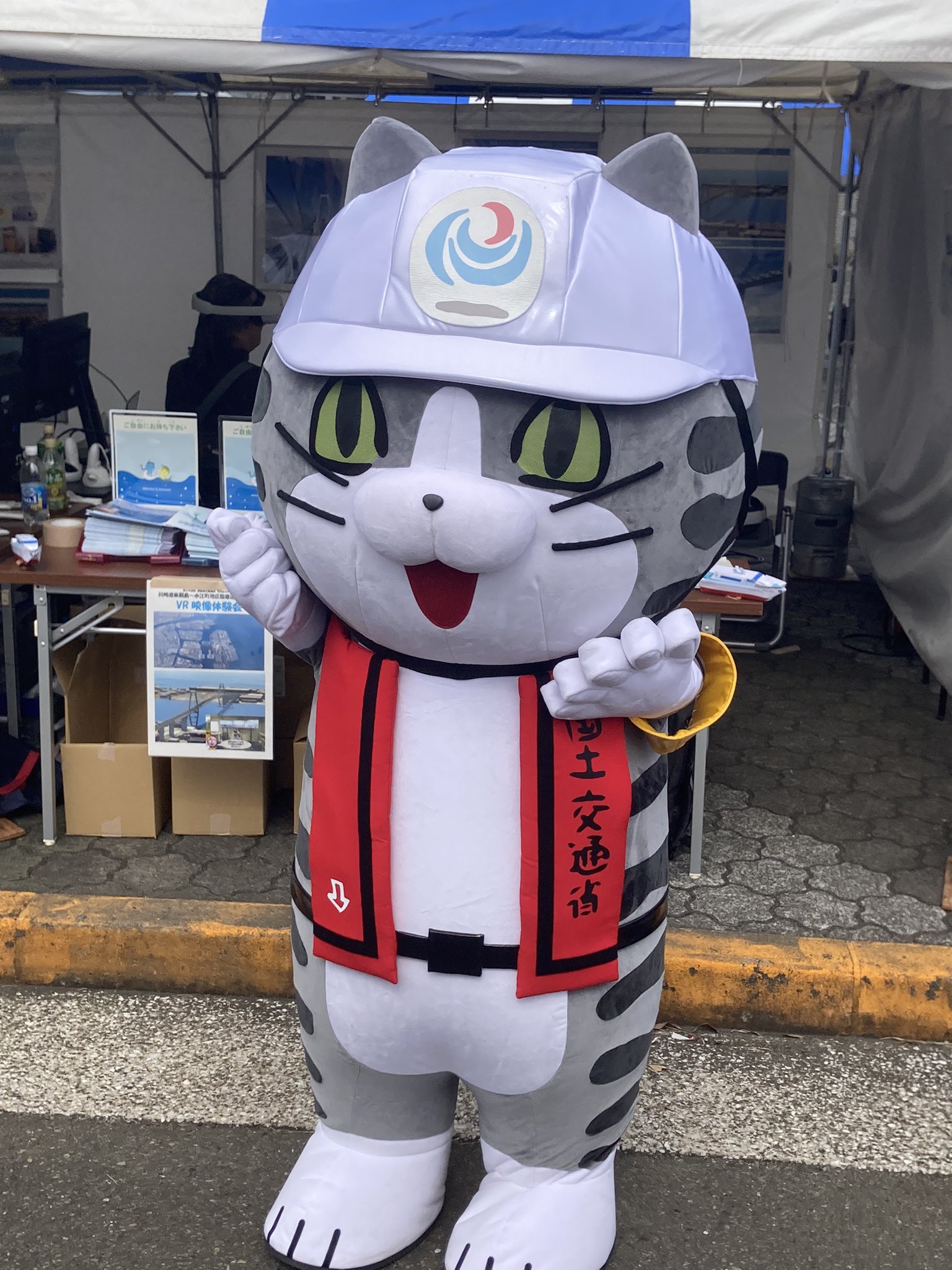 現場猫 魚交（さめ） on X: 