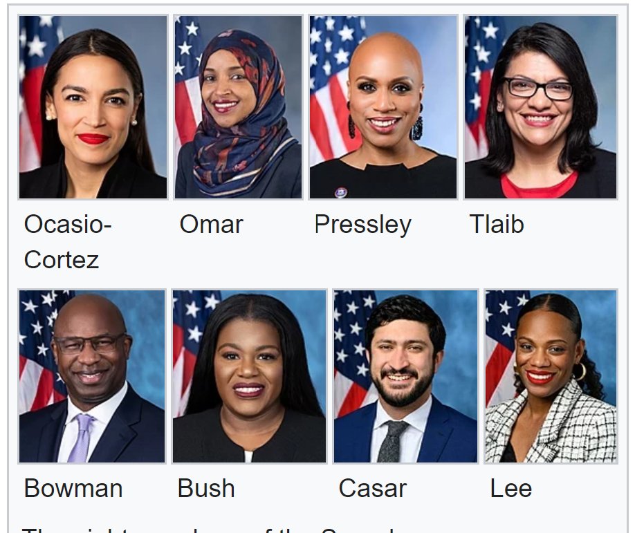 The media made sure everyone knew who the (8) R's were that sided with Gaetz, so it's up to us to let everyone know who the (8) leftist democrats are that sided with Hamas today