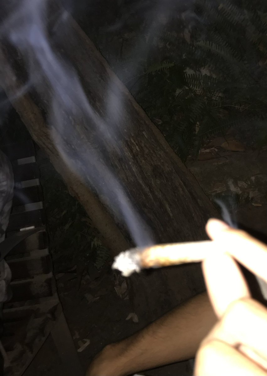 meti o bro a fumar aquele que fez do tripsy hell