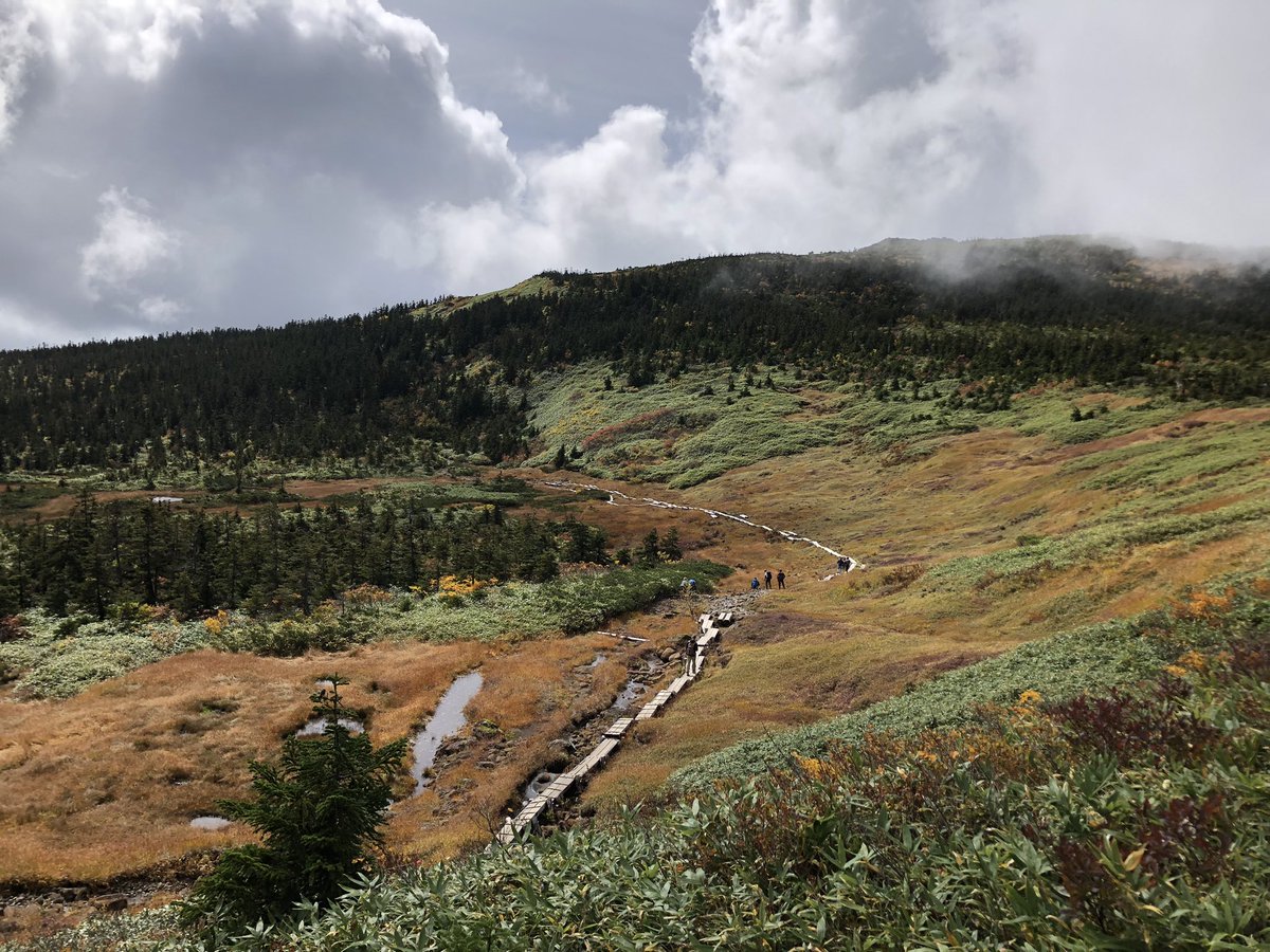 eeeeebo's tweet photo. 西吾妻山
大好物の高層湿原散歩
草紅葉も綺麗で心がリフレッシュしたよ https://t.co/afP3ihbunQ